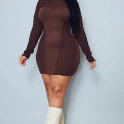 Plus Robe Marron à Deux Tons Contrastants Et Col Haut Détail Coutures