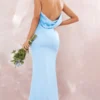 Robe Longue Bleue à Bretelles Et Dos Nu Bénitier